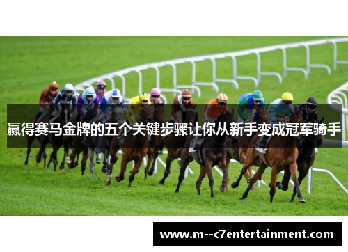 赢得赛马金牌的五个关键步骤让你从新手变成冠军骑手