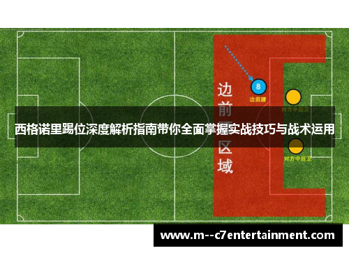西格诺里踢位深度解析指南带你全面掌握实战技巧与战术运用