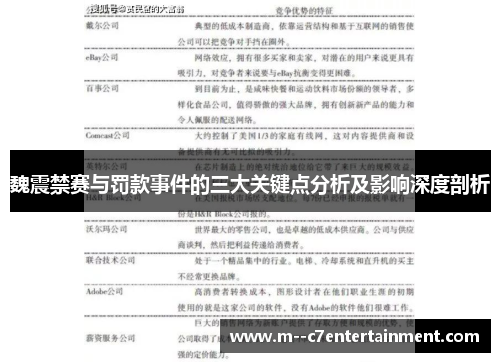 魏震禁赛与罚款事件的三大关键点分析及影响深度剖析