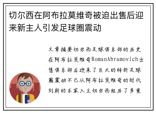 切尔西在阿布拉莫维奇被迫出售后迎来新主人引发足球圈震动