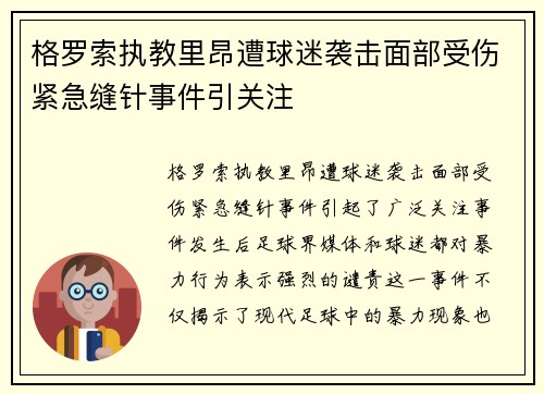 格罗索执教里昂遭球迷袭击面部受伤紧急缝针事件引关注 格罗索执教里昂遭球迷袭击面部受伤紧急缝针事件引关注